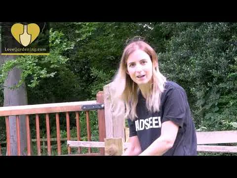 Katie Rushworth (@katie_gardens) on Twitter photo Have you ever tried making your own compost? Natural organic matter can be extremely beneficial to your garden. Click here to watch a video I made with <a href="/LoveGardening2/">LoveGardening</a> and find out how to make your own! 🌱😊
bit.ly/3Gokpa3 Have you ever tried making your own compost? Natural organic matter can be extremely beneficial to your garden. Click here to watch a video I made with <a href="/LoveGardening2/">LoveGardening</a> and find out how to make your own! 🌱😊
bit.ly/3Gokpa3