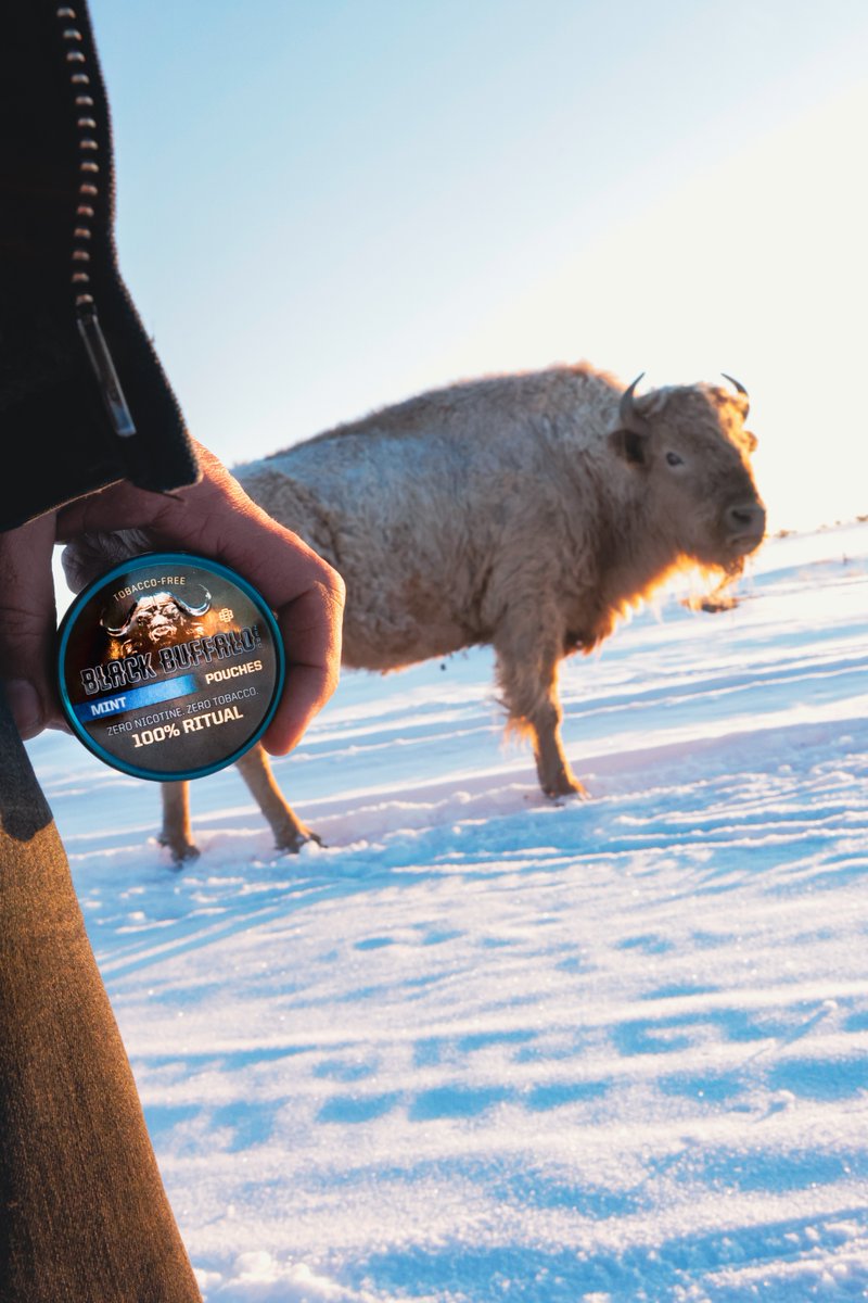 Cowboy stuff on the ranch with @Blackbuffaloinc !! Keep the ritual dippin ZERO!

bit.ly/3L8XyTI