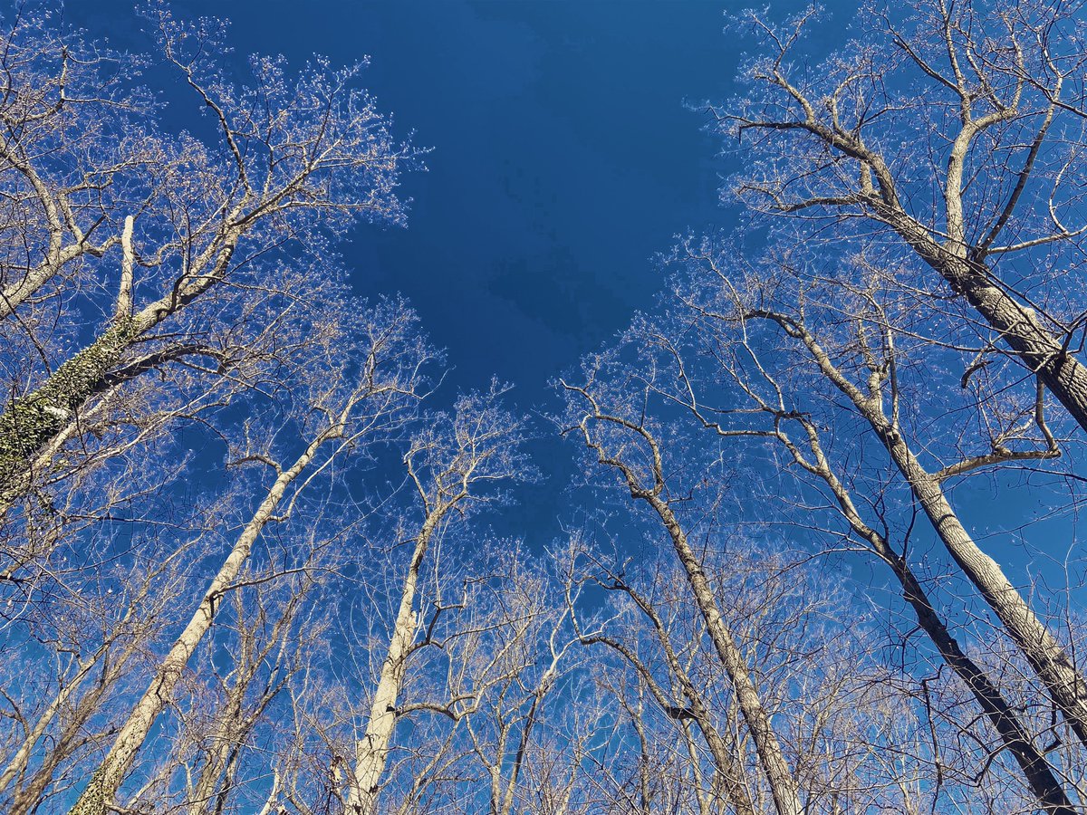 JD (@jaydowski) on Twitter photo 