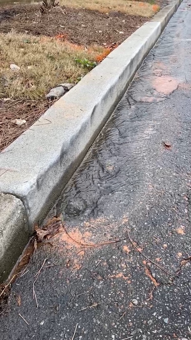 REHerrera's tweet photo. Can anyone help with this situation at 229 Peachtree Hills Ave NE, ATL, 30305. Water has been flowing since Monday, thousands of gallons of water wasted. Reported Monday AM to ATL311 @CityofAtlanta @atlcouncil @ATLWatershed @ATL311 @andreforatlanta @11AliveNews @wsbtv @ajc @cbs46 https://t.co/tA8WbqAy8q