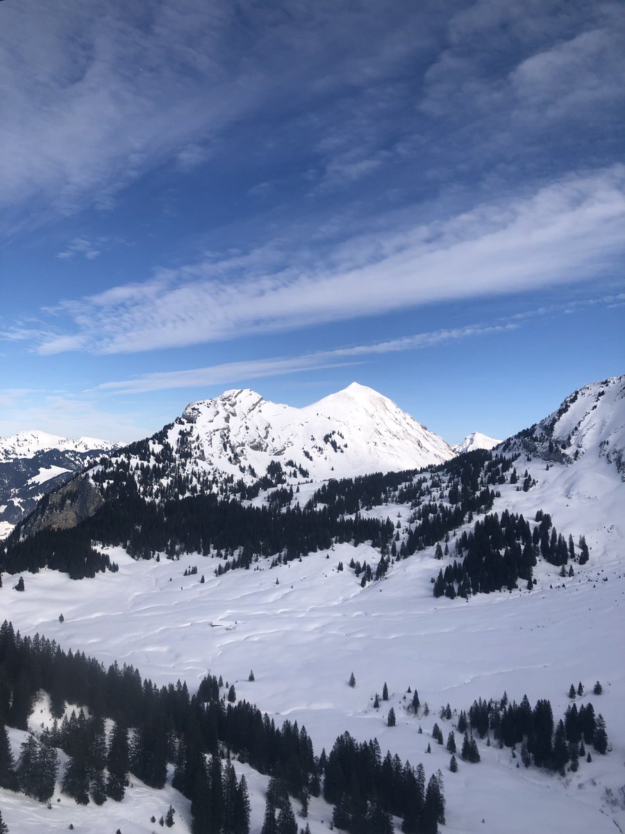 Dani Picot tweet media