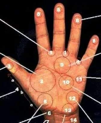 enconexionreal's tweet photo. EN TUS MANOS ESTA LA SOLUCION.
Presionando estas zonas :
1. fortalece el sistema inmunológico.
2.disminuye el insomnio, dolores de cabeza y los problemas de apetito, provocados por la ira o el mal humor
3.para los dolores menstruales
4.reduce los dolores: a) de las cervicales, https://t.co/64xXeZRWIH