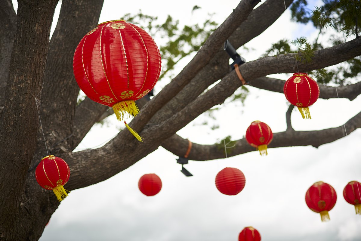 Join us tomorrow at Rise Park from 9 am - 12 pm for the spectacular lion dance, yoga, storytelling, and lucky tangerine wall. Plus, we'll have a virtual Lunar New Year game and a special Year of the Tiger t-shirt for those who complete the challenge! bit.ly/3oDVObB