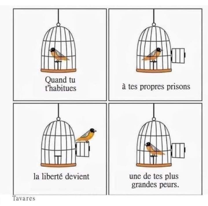 Kimysmile1's tweet image. Ça me parle énormément 🥺