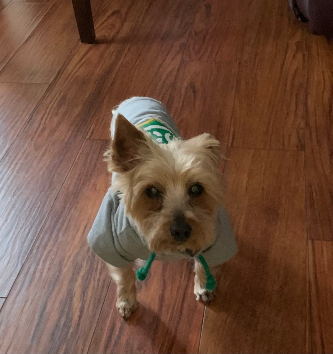 Region10Reed's tweet photo. @Region10ESC @Region10ESC Frederick is dressed for the cold https://t.co/0RXJ4N7lzB