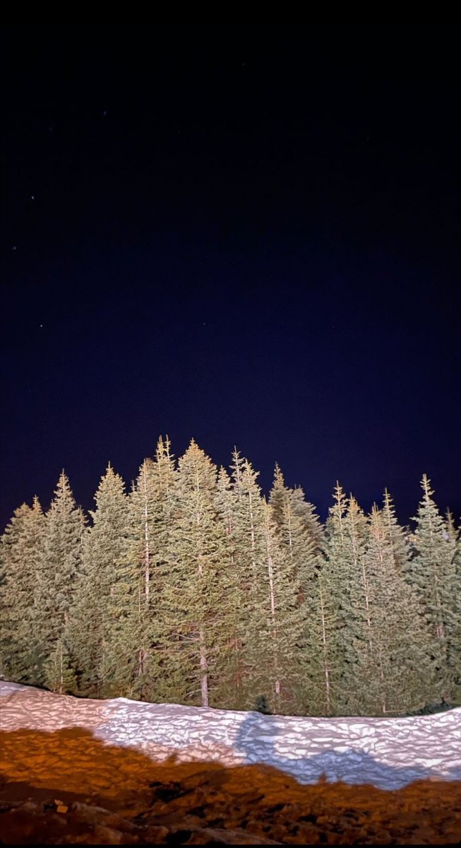 ebrarekincii's tweet image. Sarıkamış ❤️