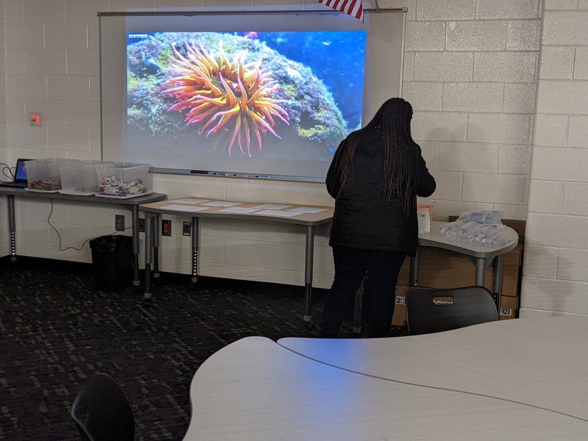 Alison Beecher tweet media