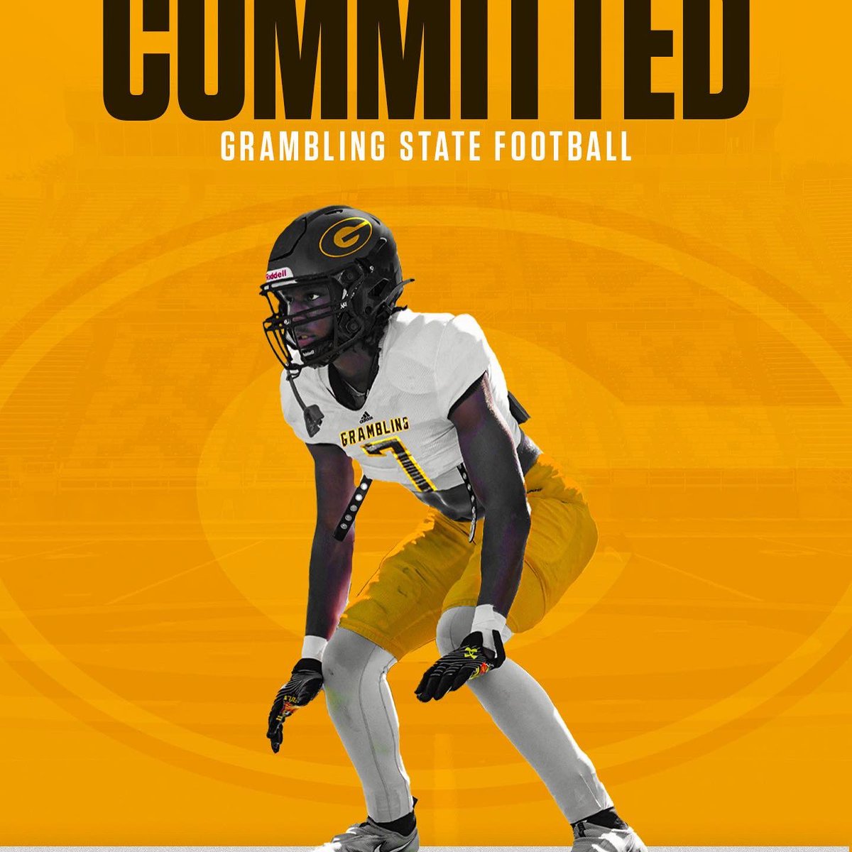 Nikko Morris tweet media