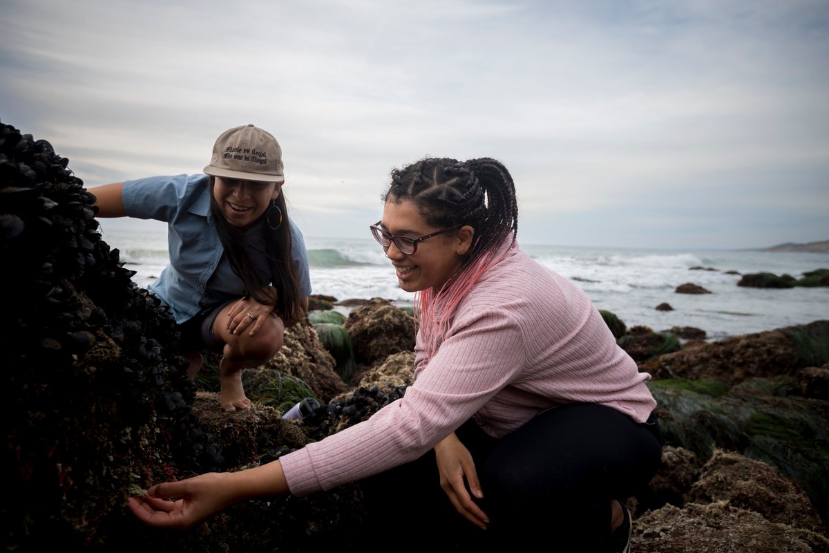Scripps Institution of Oceanography tweet media