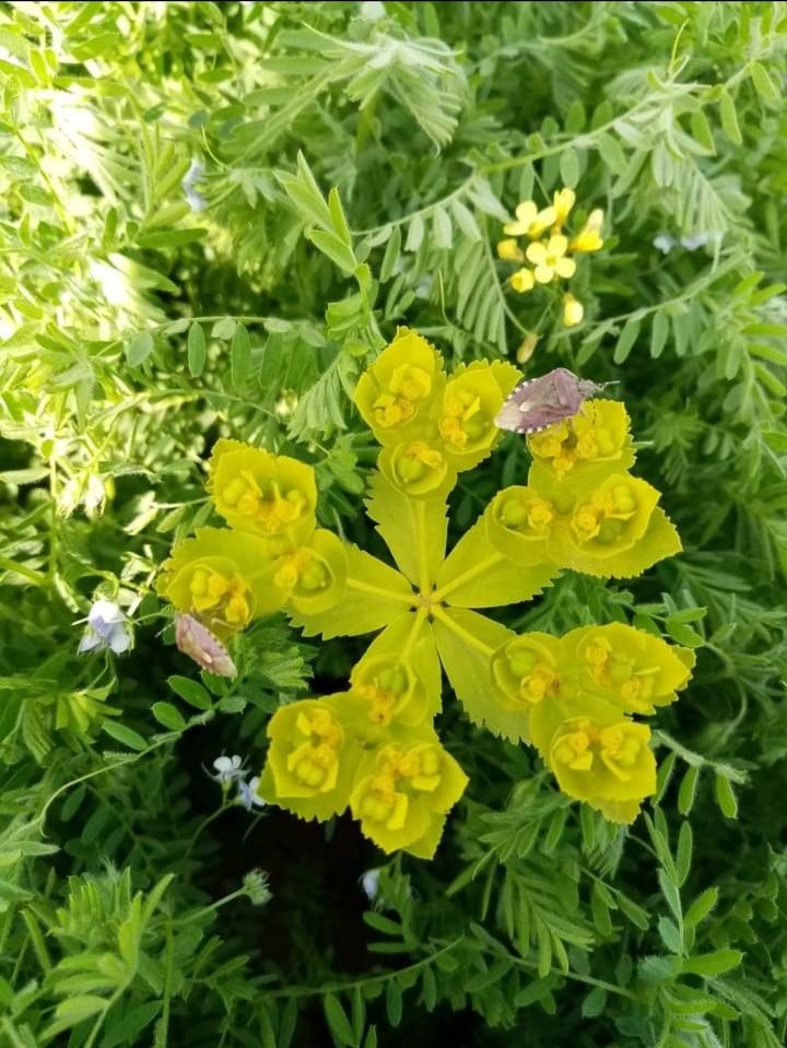 İlk cemre havaya düşüyor,

Hava ısınıyor..

Suya düşüyor, su ısınıyor..

Ve sonra toprağa derken,

Bakmışsın bahar geliyor..

Biz tarım danışmanlarına da bir cemrenin düşmesi dileğiyle..
<a href="/RTErdogan/">Recep Tayyip Erdoğan</a> <a href="/bekirpakdemirli/">Dr. Bekir Pakdemirli</a> <a href="/TCTarim/">T.C. Tarım ve Orman Bakanlığı</a> <a href="/csbgovtr/">T.C. Çevre, Şehircilik ve İklim Dğş. Bakanlığı</a>
