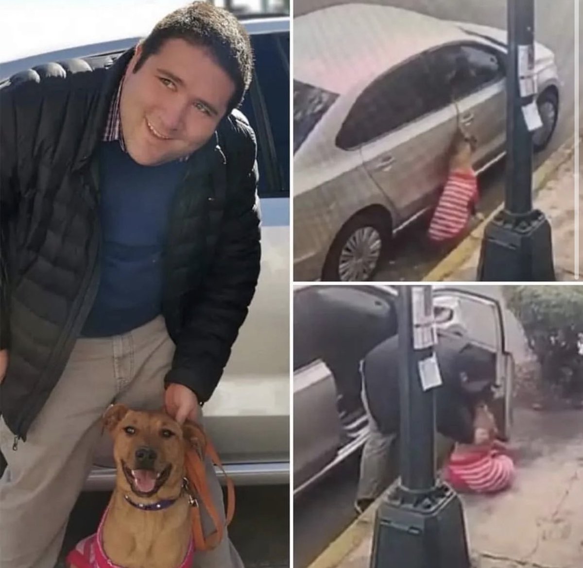 ERIFERCA's tweet photo. Pablo Andrés Hernandez Giraldo que triste que existes, realmente no tengo palabras para describir lo que siento cuando veo el video y tu cara, solo espero que en tu vida vuelvas a tener un animalito a tu cargo y que la gente que te conozca te desprecie!! Eso no se hace https://t.co/c9MbLcgw60