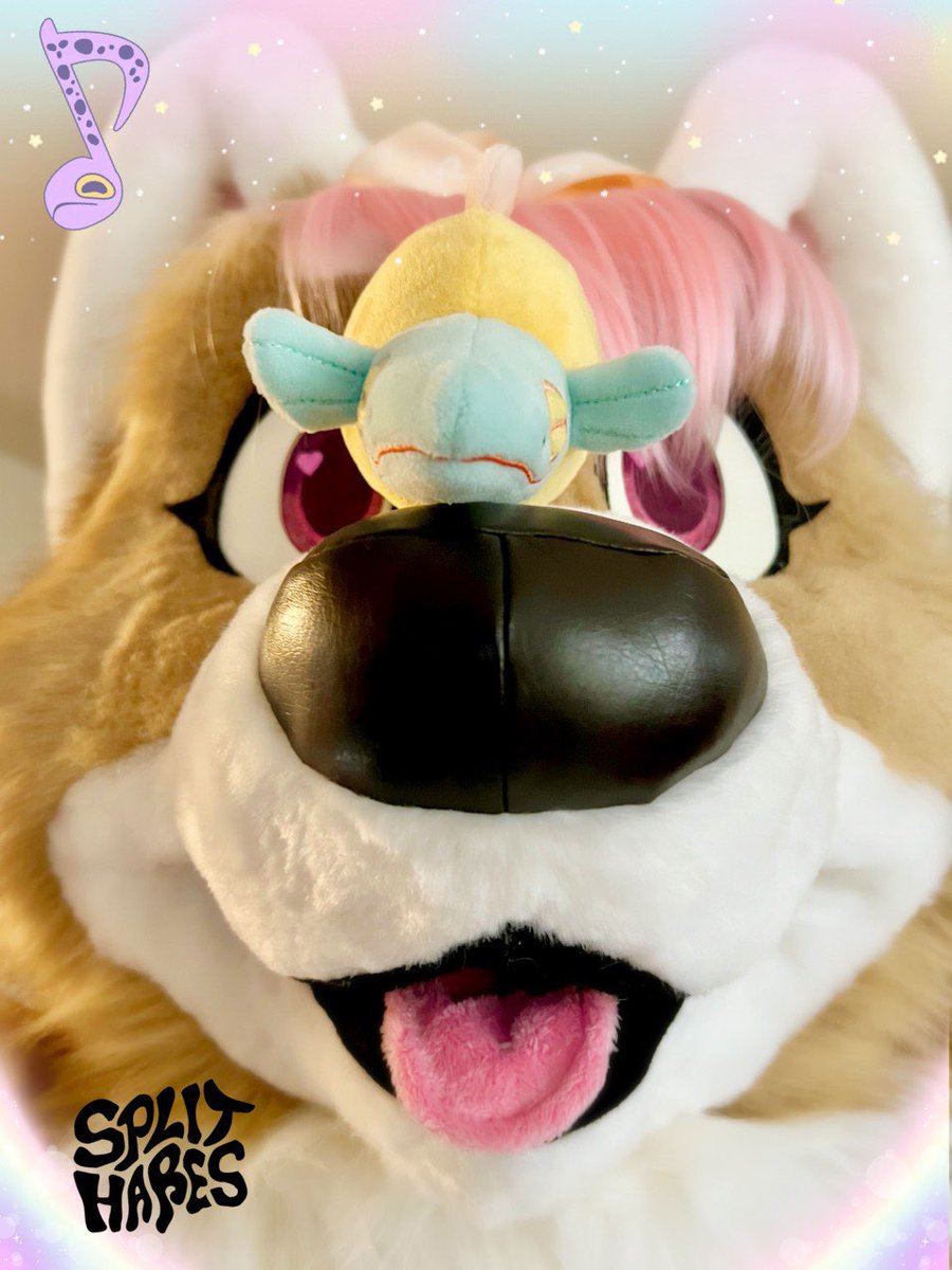 SplitHares's tweet photo. Our #FursuitFriday photoshoot with BabyDoll✨💕🐶🎀🎉✨ 
Suiting with any of these plushies is shore to be lots of fun! 
https://t.co/NrYOkItRad
Become a backer to get these guys made! ✨🐠🌊🎉💕 https://t.co/LxRkijL4yA