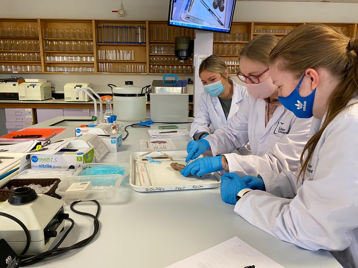 UlsterUniBiomed's tweet image. Lab class today for our Cellular Patology students following up from their lecture on disease and surgical procedure earlier in the week #labclass #biomedicalscience #IBMS