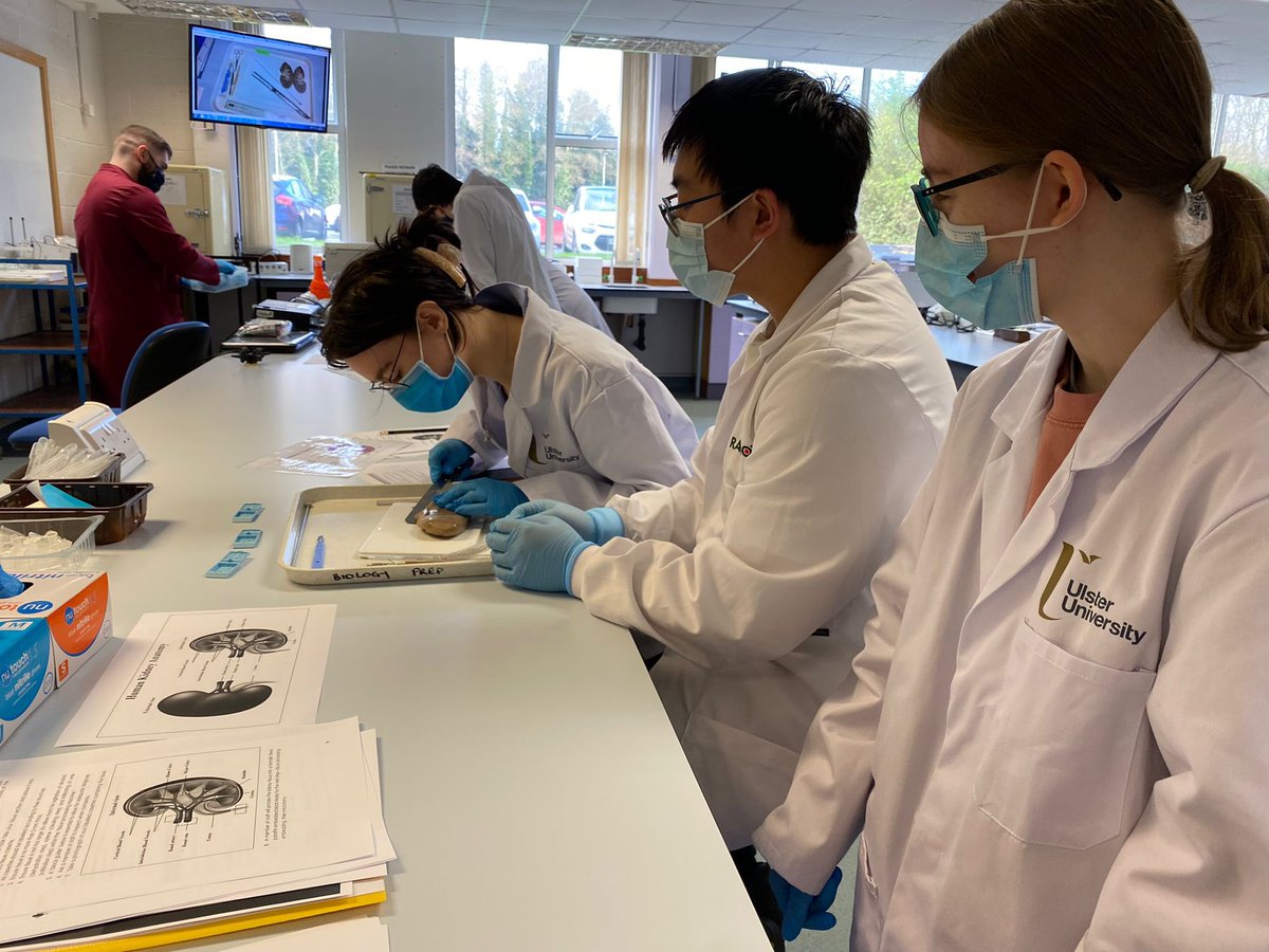 UlsterUniBiomed's tweet image. Lab class today for our Cellular Patology students following up from their lecture on disease and surgical procedure earlier in the week #labclass #biomedicalscience #IBMS
