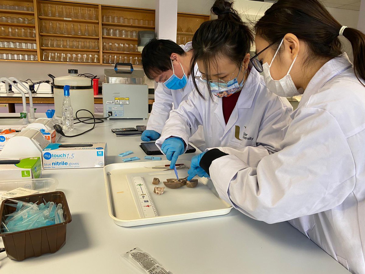 UlsterUniBiomed's tweet image. Lab class today for our Cellular Patology students following up from their lecture on disease and surgical procedure earlier in the week #labclass #biomedicalscience #IBMS