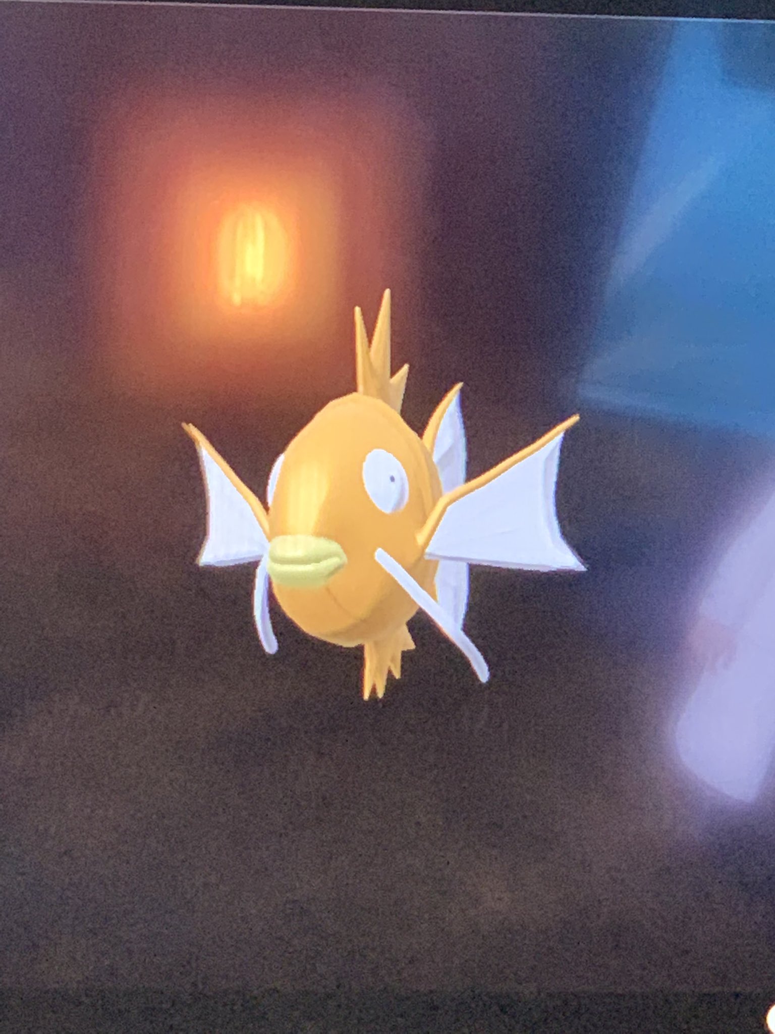 星咲 ゆう Youtube見てね 奇跡すぎる 今日だけでコイキングとギャラドスの色違いに出逢えた やったぁ これで進化させずに済むから嬉しい アルセウス 色違いポケモン T Co Gsx9mnmk6i Twitter