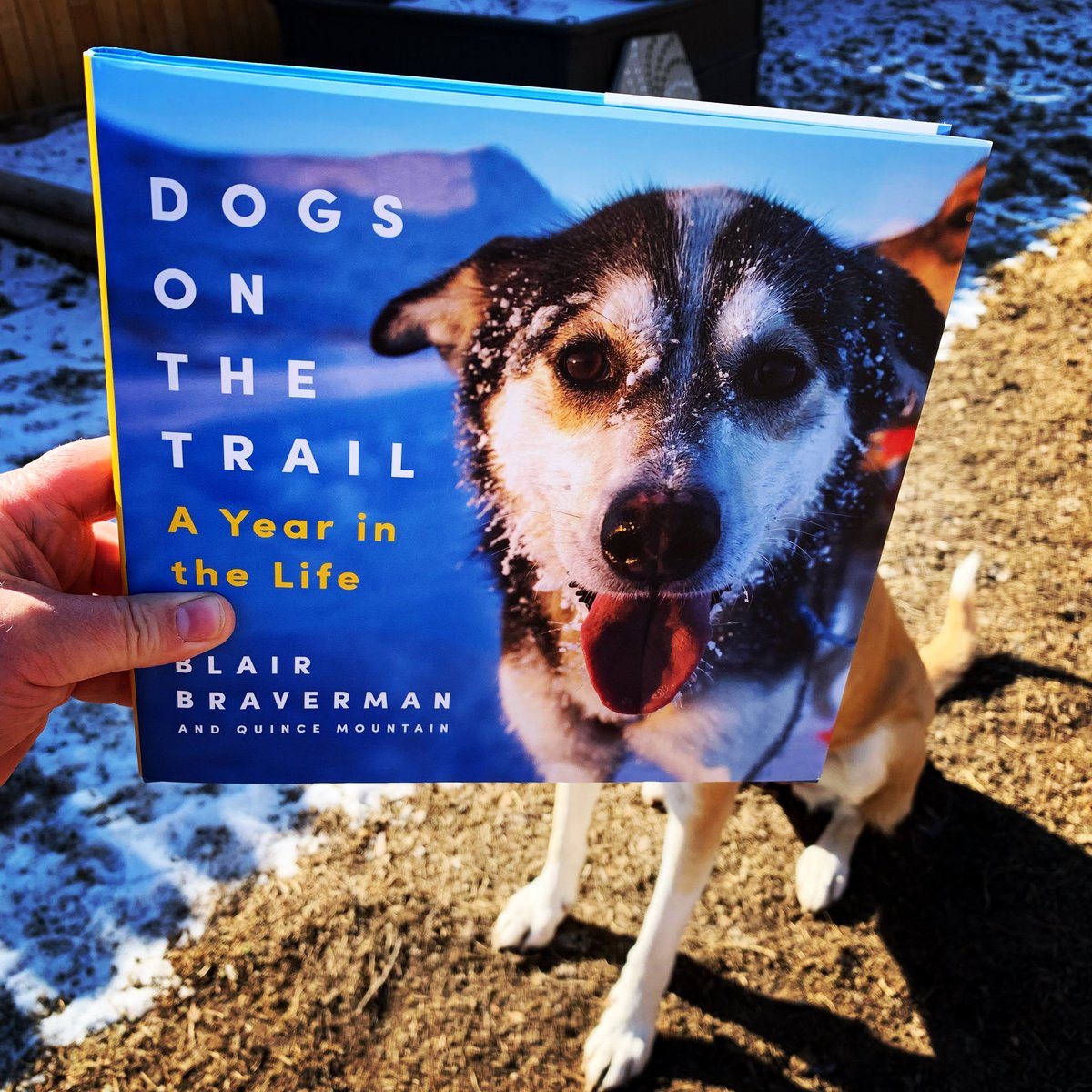 This #bookface has really gone to the 🐶! It feels like it’s #cold enough for sled dogs in Utah, so we thought we’d take a page from <a href="/BlairBraverman/">Blair Braverman</a> and <a href="/QuinceMountain/">Quince Mountain</a> book and start our own pack!