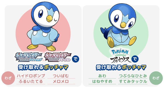 小ネタ ポッチャマ大好き アルセウス速報