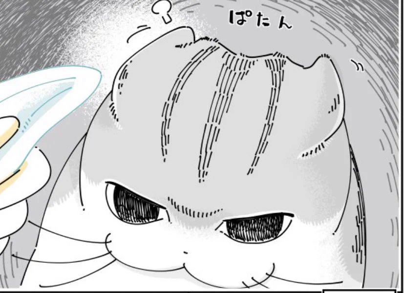 @kyuryuZ なんとなく似ている気がしたけど、これかな。 
