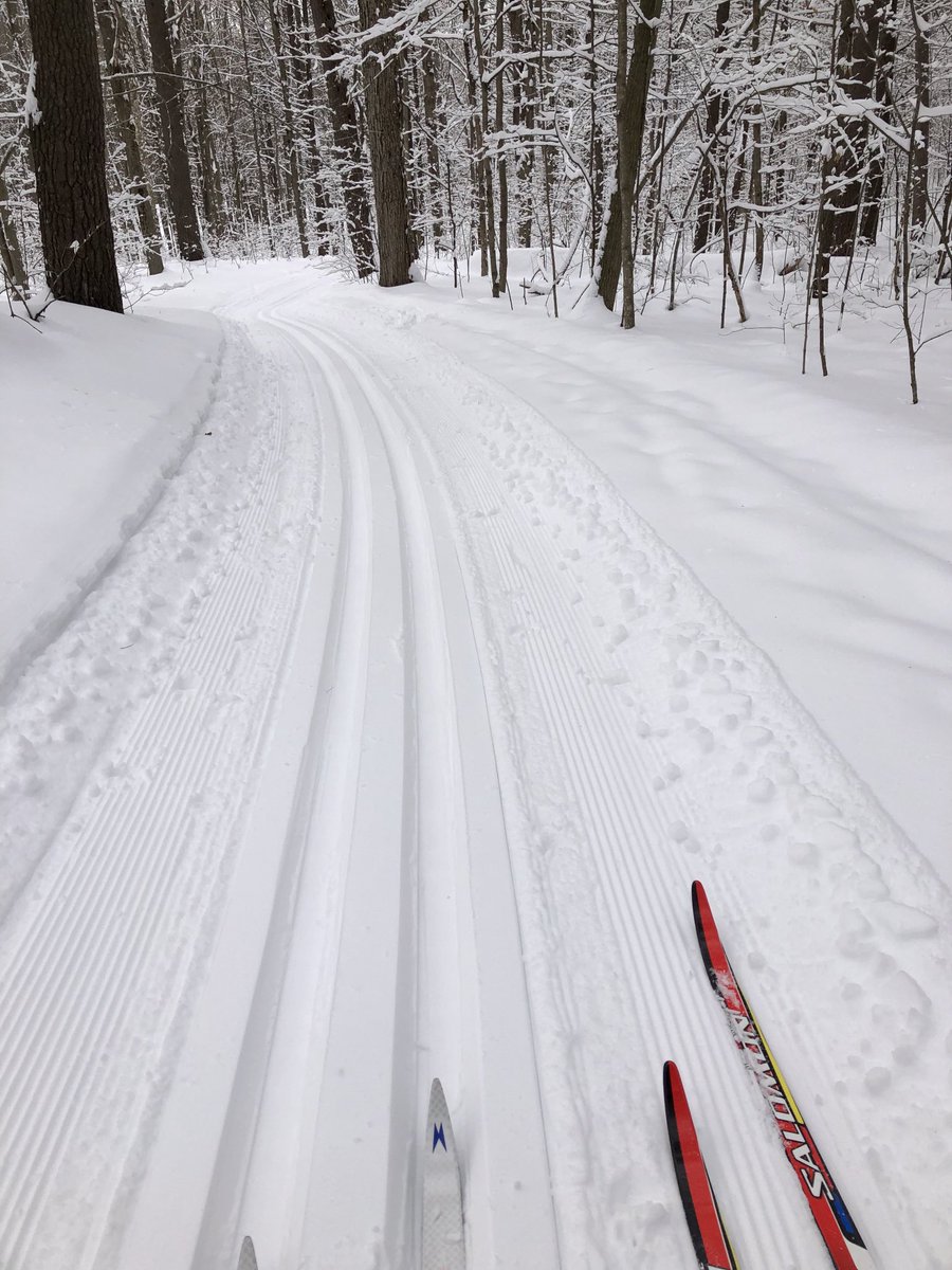 HeatherInMotion's tweet image. Amazing #CrossCountrySkiing today  @GanaraskaFC   It’s a great trail system for  the Virtual Canadian Ski Marathon 2022. #GetOutside  #XCskierOntario  #Skialot