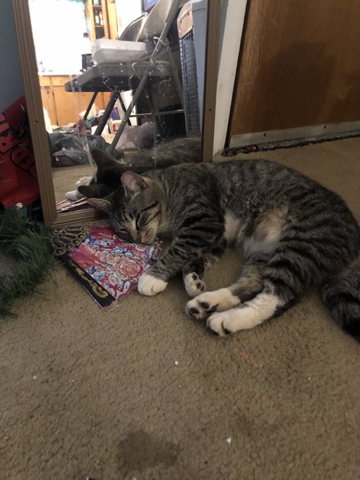 WE&rsquo;RE LIVE ROAD TO 15 SUBS!!!! Every 5 gifted I take a SHOT!!! STOP BY AND SAY HI AT LEAST #twitch #TwitchStreamers<a href="/tag/twitch"class="tags"><span>#twitch</span></a><a href="/tag/twitchstreamers"class="tags"><span>#twitchstreamers</span></a>