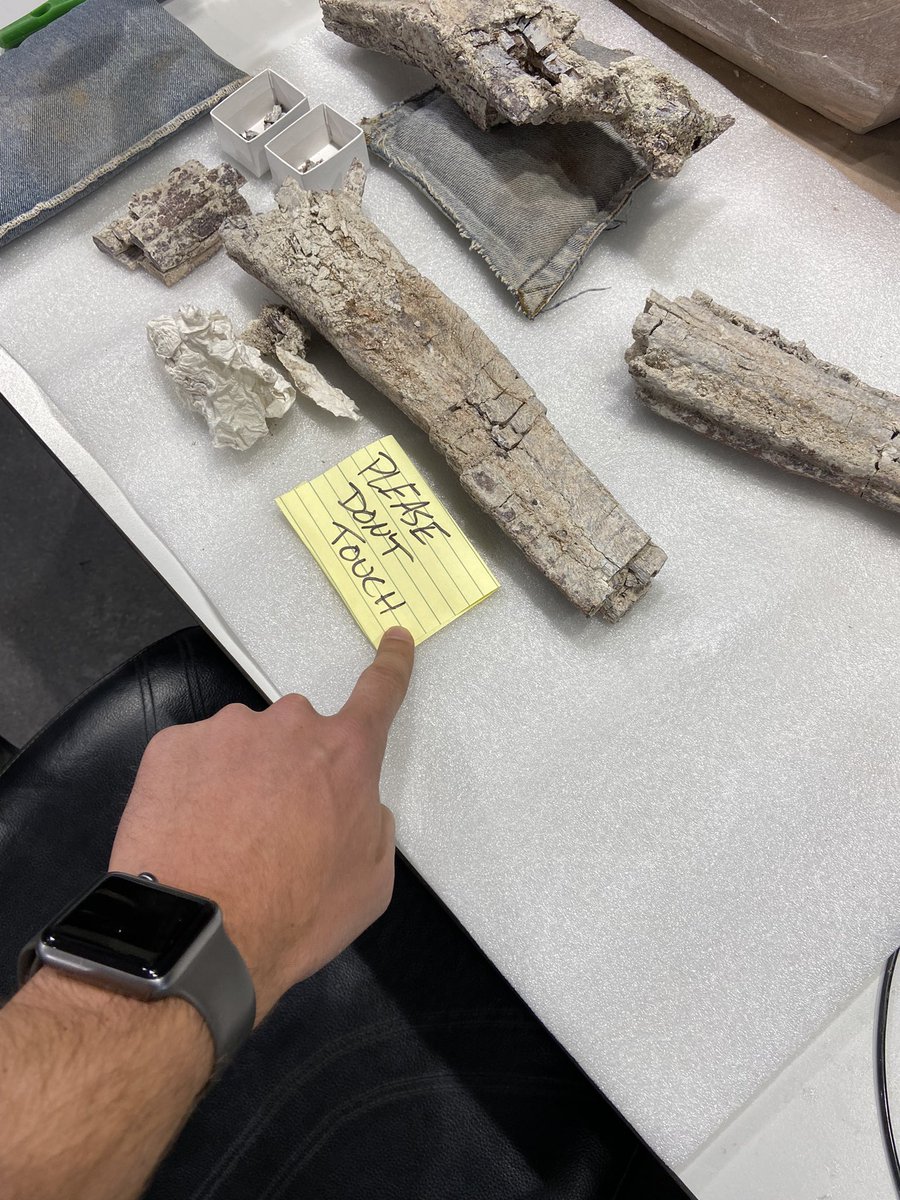 Adam Marsh tweet media