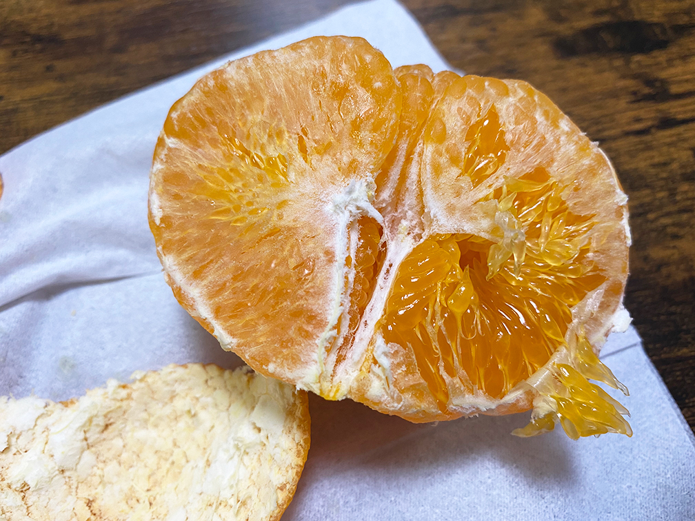 びっくらこいたば～い。ひと玉３００円を超えるミカン・・・。

釣好大全九州（釣りブログ）
　　👇
kyusyu-ins.com/2022/02/04/202…
今回のお題は『やっぱりワシは小市民・・。』です。