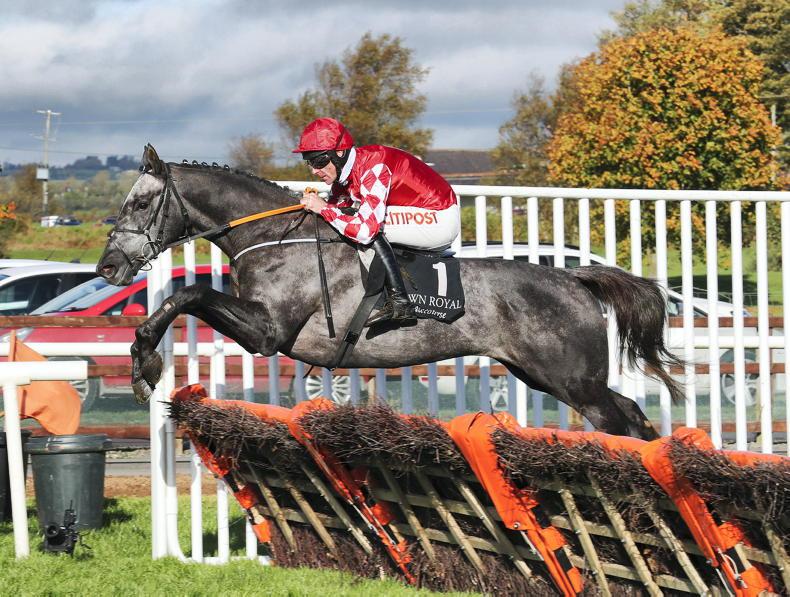 racingblogger's tweet image. 😍 If FIL DOR and HOLLOW GAMES win at The Dublin Racing Festival tomorrow I'll give £100 CASH to one of you lucky people! 💷

To Enter: 👇

1️⃣ RT this Tweet 
2️⃣ Follow @racingblogger
 
#DublinRacingFestival #Dublin 🏇