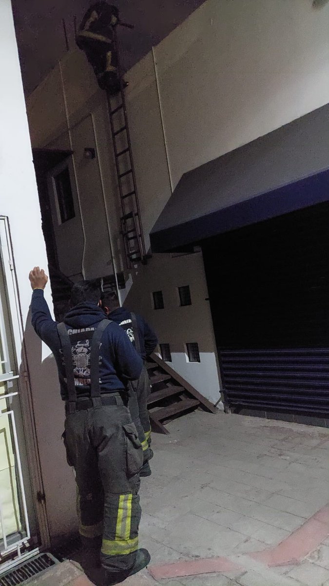SPAleph's tweet image. Acabo de ser testigo de la atención de 6 bomberos que acudieron en rescate de un gato atrapado en una azotea #gatos #bomberos #gatomiau