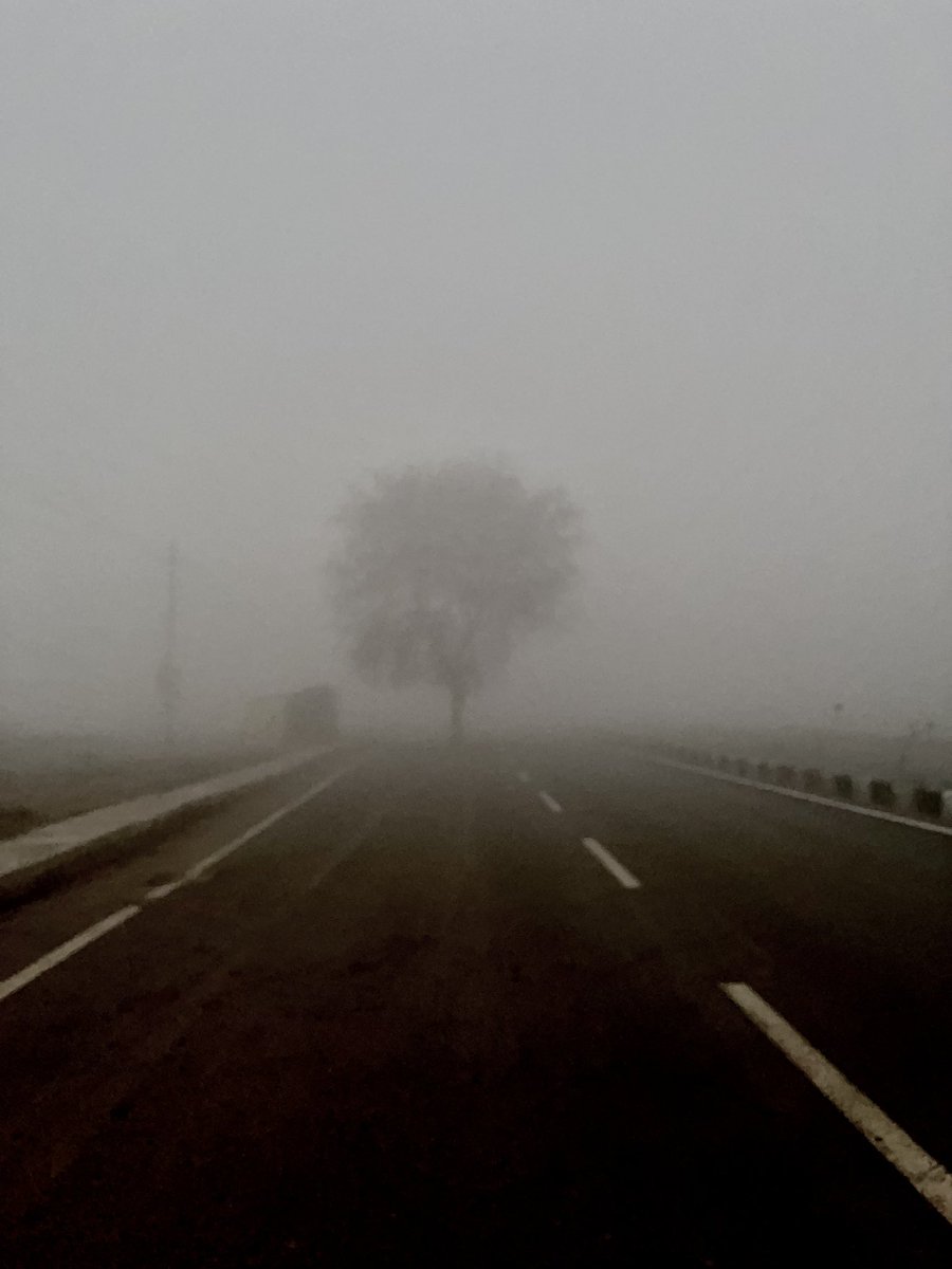 rneelmani's tweet photo. #Fogged! That’s how you get surprised when you go out early morning. #Gurugram #WINTER #morningwalk #nature #NaturePhotography #foggy https://t.co/AnLecLA6yn