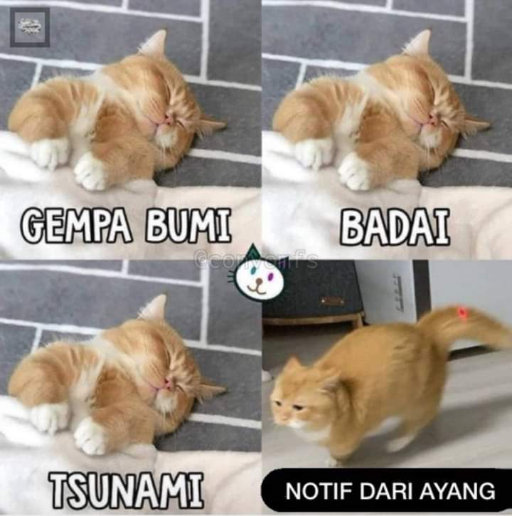 RofiuddinAl's tweet photo. @qorygore Apa yang elu maksud ini bang hehehehe https://t.co/v7aL7hJq2V
