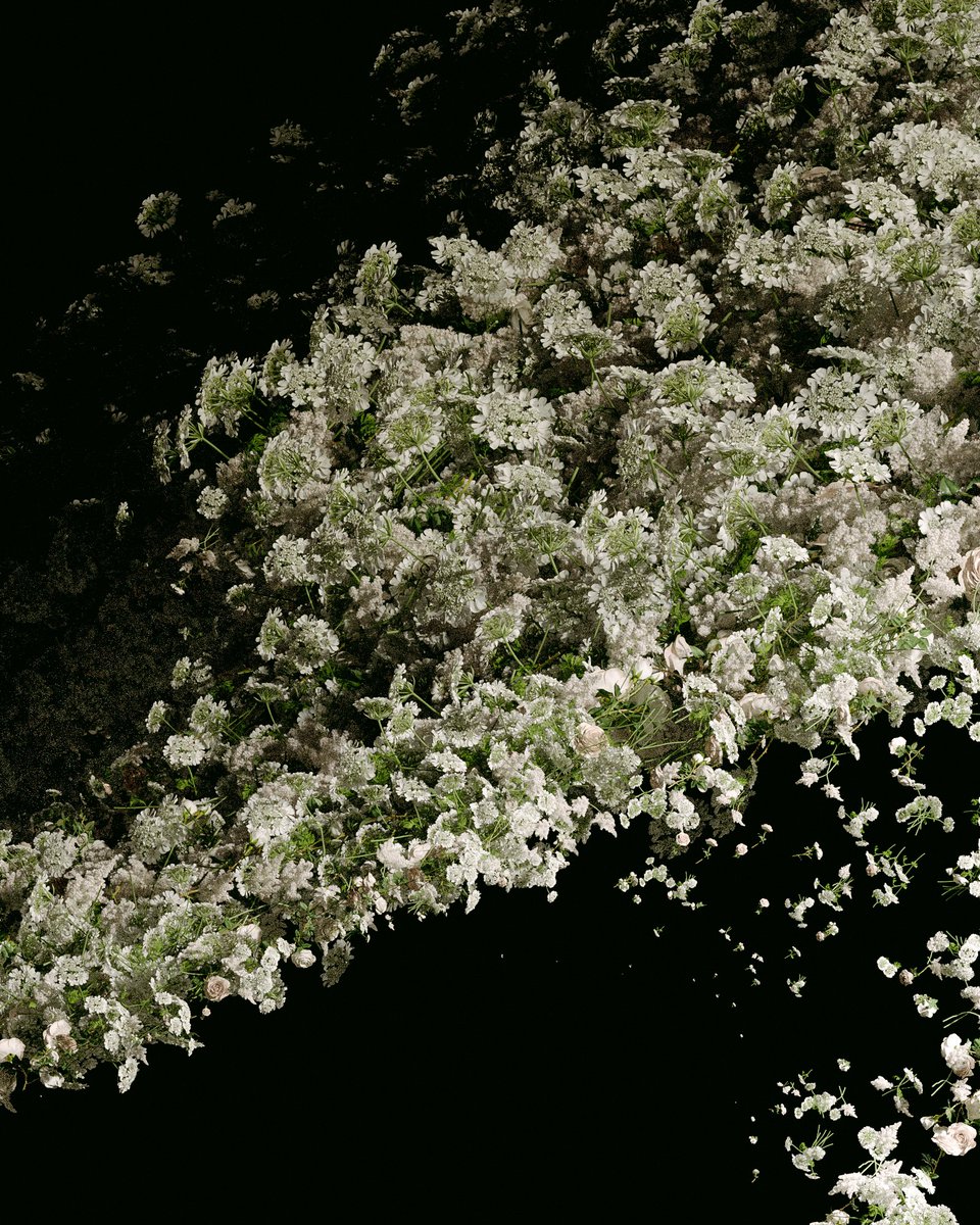 _ojwhite's tweet photo. When Love and Death Embrace https://t.co/U4Ac4DcAiS