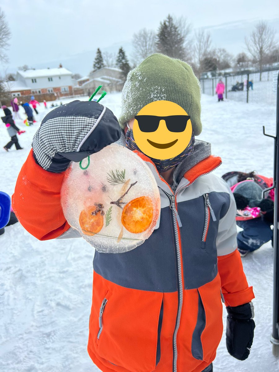 gina_morphy's tweet photo. A beautiful wintery craft that will benefit the squirrels and birds too! @PPARocdsb #KJSB https://t.co/BaSUP1Ln3S