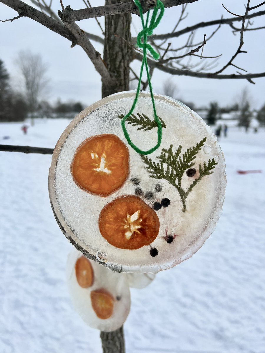 gina_morphy's tweet photo. A beautiful wintery craft that will benefit the squirrels and birds too! @PPARocdsb #KJSB https://t.co/BaSUP1Ln3S