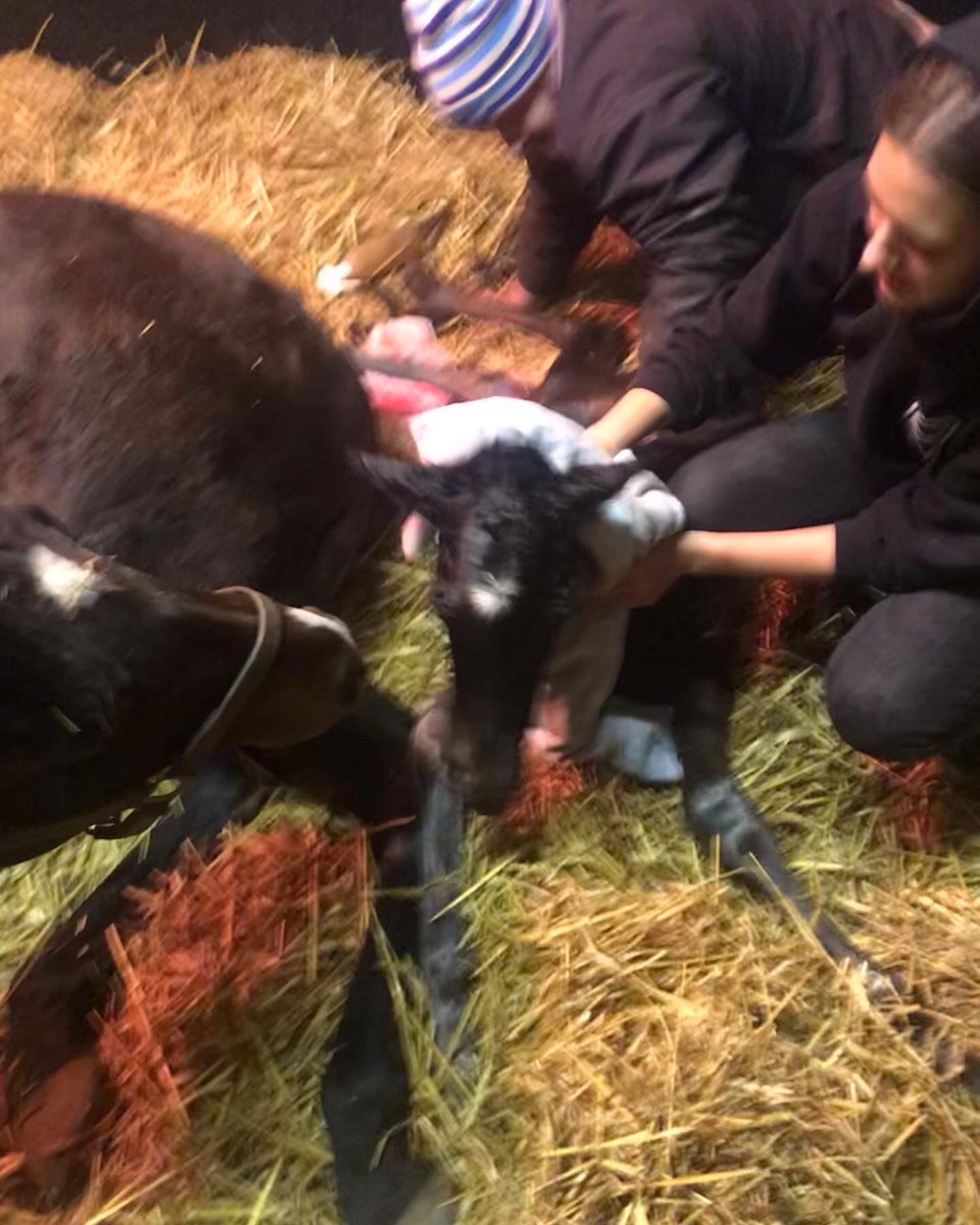 Graham Rylance tweet media