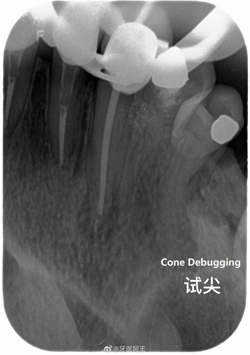 CRootSP's tweet photo. Filled with C-Root SP https://t.co/diE61uiAGs