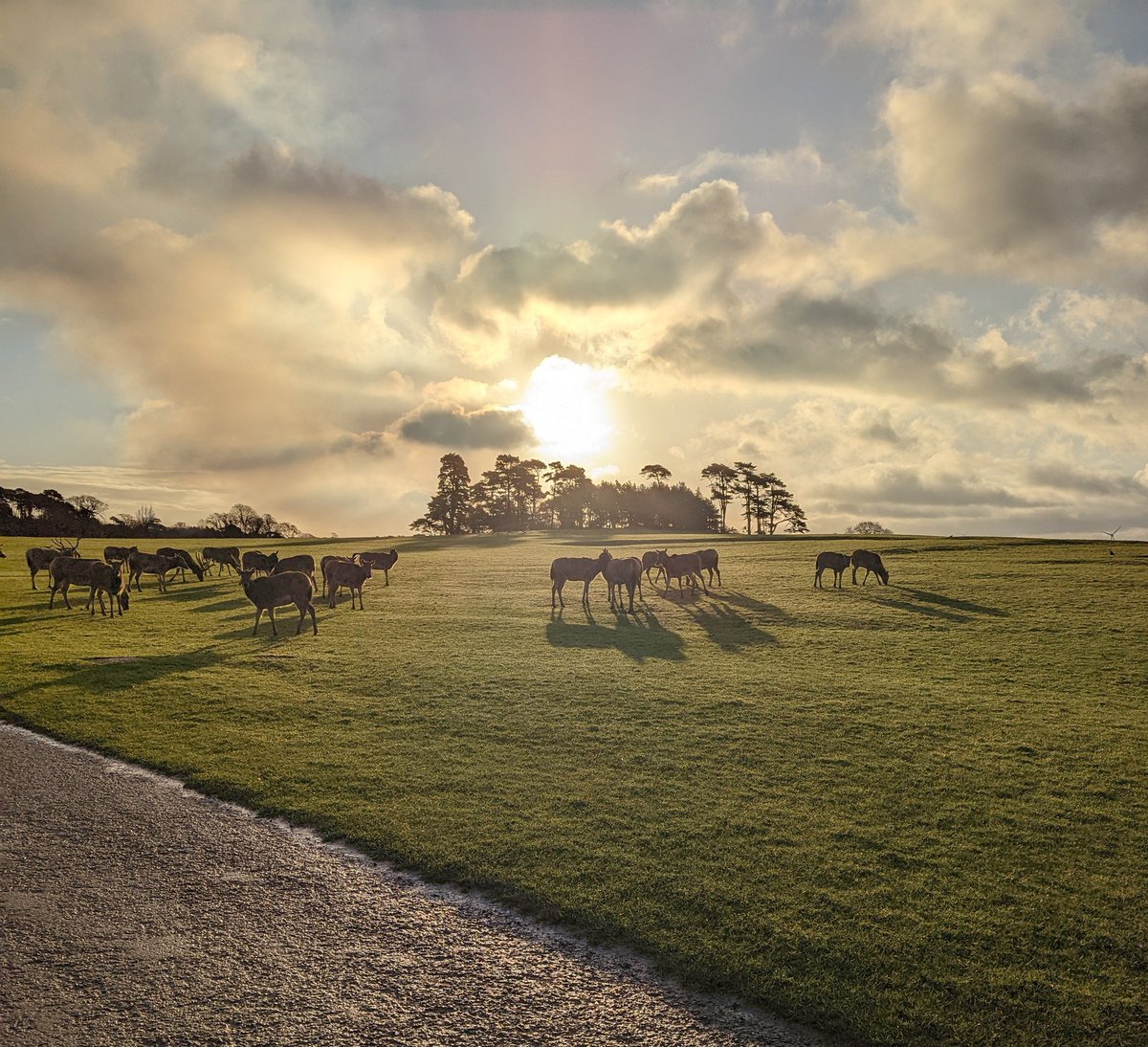 Margam Park 🦌

<a href="/Margampark/">Margam Country Park</a> 
<a href="/Ruth_ITV/">Ruth_TV</a> 
<a href="/ITVWales/">ITV Wales News</a> 
<a href="/itvweather/">ITV Weather</a>

Credit - Ruth Weaver