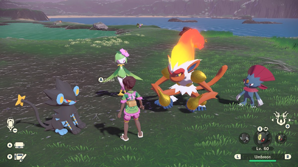 GalaxyChild2's tweet photo. #PokemonLegendsArceus #NintendoSwitch https://t.co/67HGoVKvmX