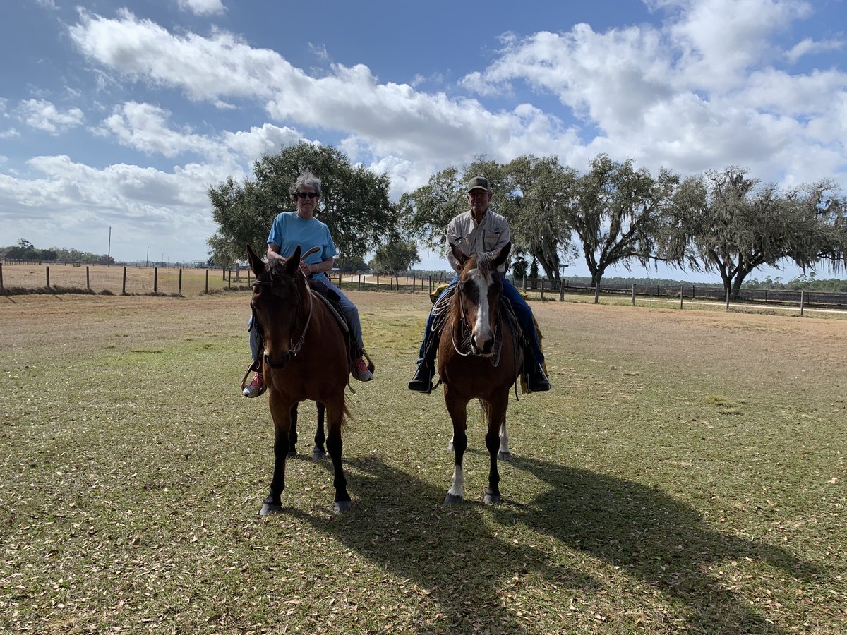 madameguru's tweet photo. One bucket list item completed #horses #ridingfast #hangingonfordearlife #loving everyminute #tomorrowimayregretthis https://t.co/rUcQ1Fa1z2