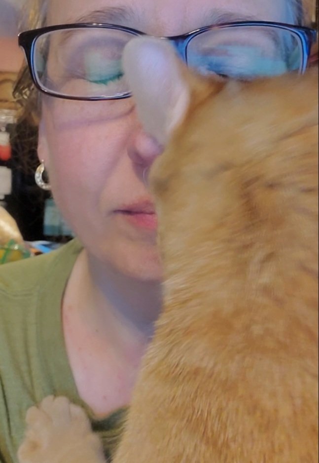 CoyoteWolverine's tweet photo. #CatsofTwittter 
#unconditionallove 
red nose, face, baby picks on chest and neck, such flattering angles!!! 
and No Complaints!
Just little love fest from Coyote🥰 https://t.co/z3lipeoLU1
