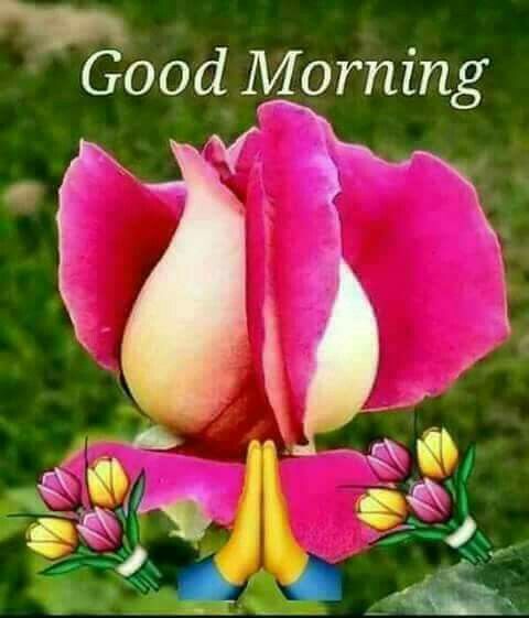 demethilo's tweet image. Hello world