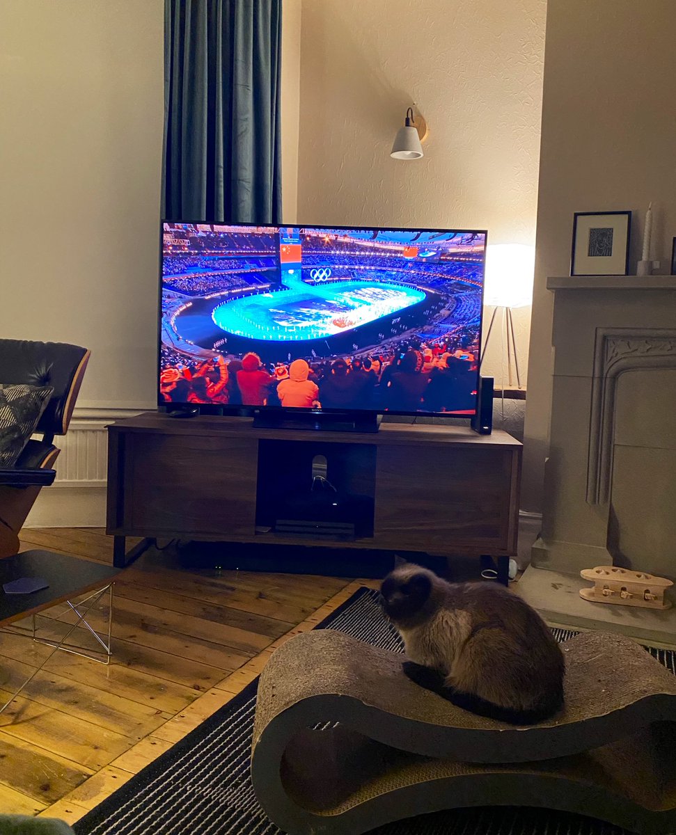 CatIkiru's tweet photo. @Cocofitnesspug Me too! #olympics https://t.co/jAltkpmQVs