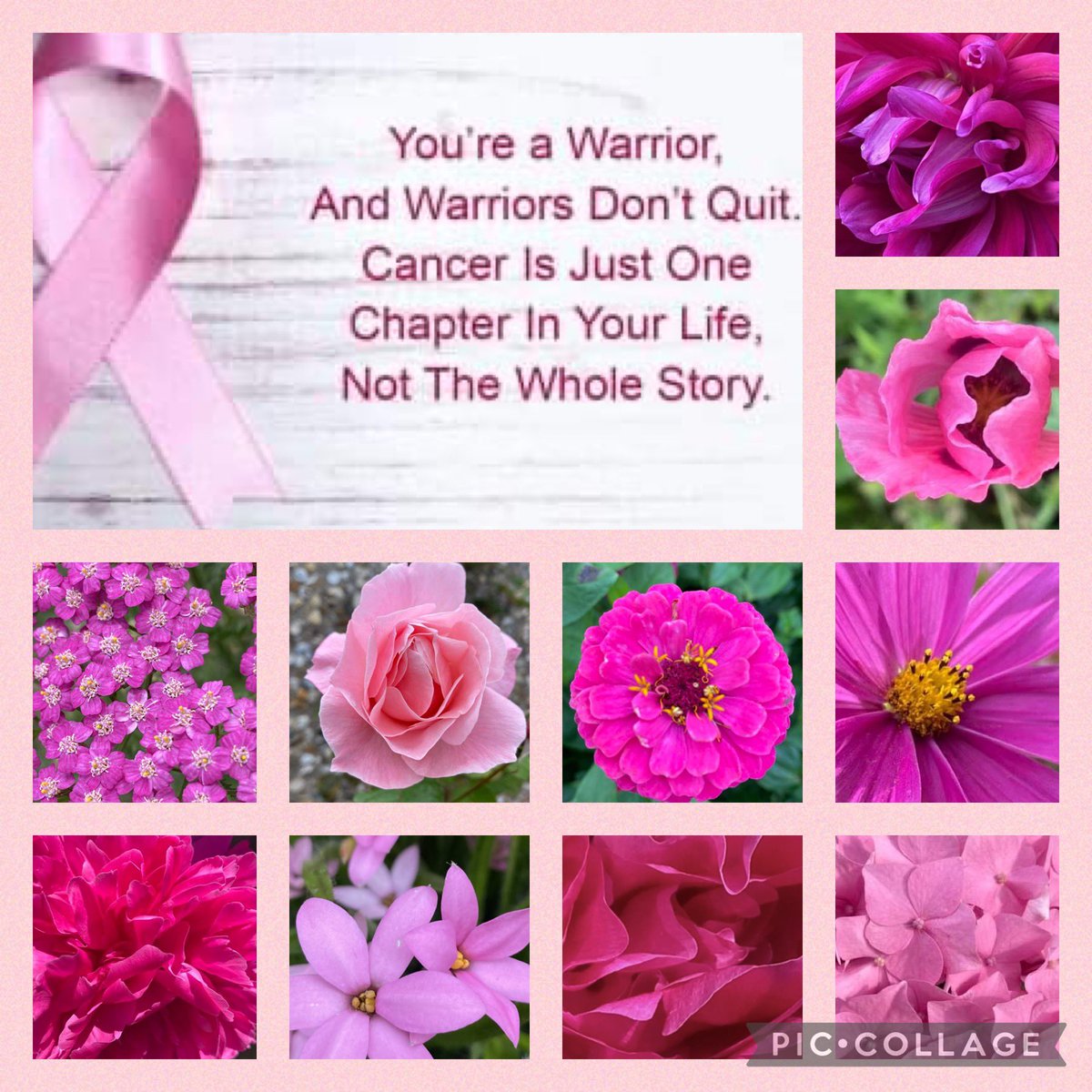 Helping to turn #Twitter all shades of #Pink 4 #WorldCancerDay 🌸💗🎀, while sharing positive #FridayFeeling vibes, & supporting #MentalHealthAwareness 🤗🌸 
Have an extra special #weekend & share #love & #hope!🤗🌸💗#Cancerprevention #FridayMotivation @SU2C #kisscancergoodbye