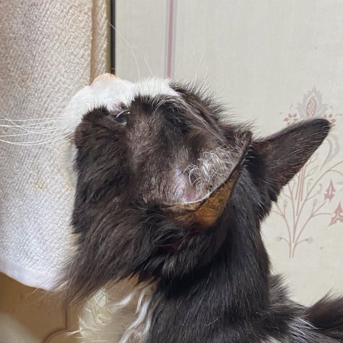 そしてこれは母と見つめ合う王子✨良き〜🥰 