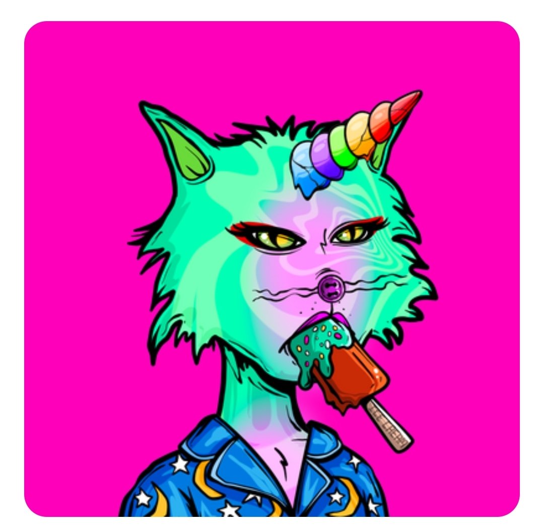 UNICORN is in the house 😍😍😍😍😍😍😍😍😍
#psychomollies #PsychoKitties