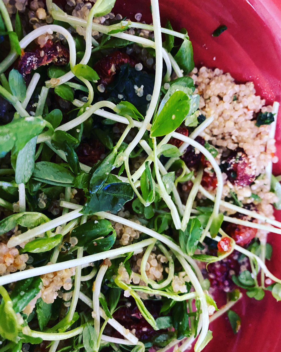 Lunch from earlier. Quinoa, flaxseed oil, sun-dried tomatoes, cashews parmesan and pea sprouts. So healthy and my tummy was so happy. ✌️❤️ #lifeistrailrunning #plantpowered #veganlunch #whatveganseat #vegantrailrunner #veganathlete