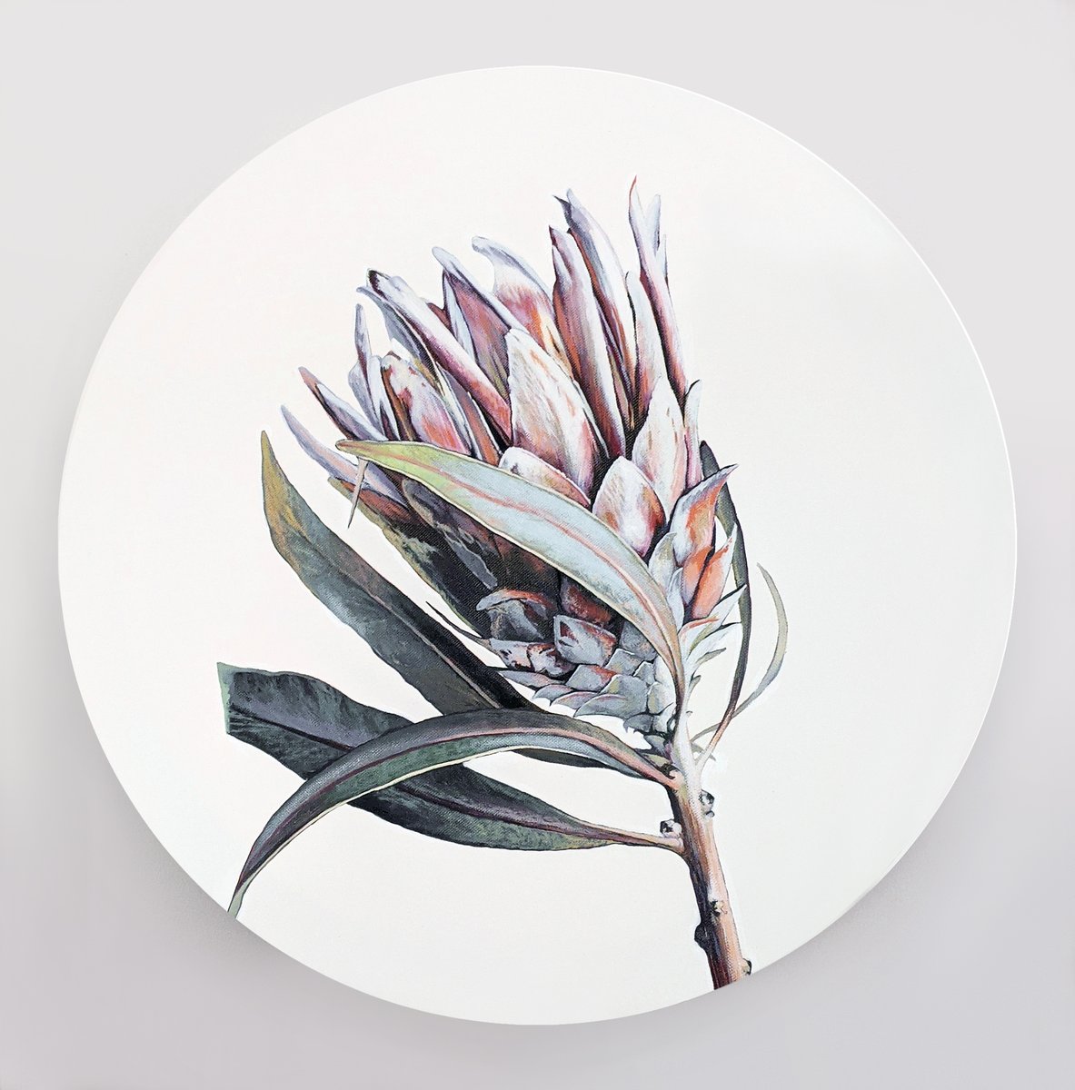 Hi everyone! Let me introduce my artichoke painting✨

Showing tenderness through botanical theme

#acrylicpainting #nftart #nftwoman #Tenderness
#NFTartist
