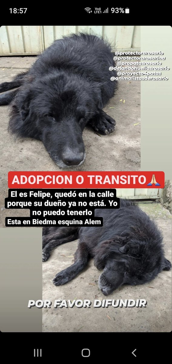 Alejandro Cachari (@alecachari) on Twitter photo 