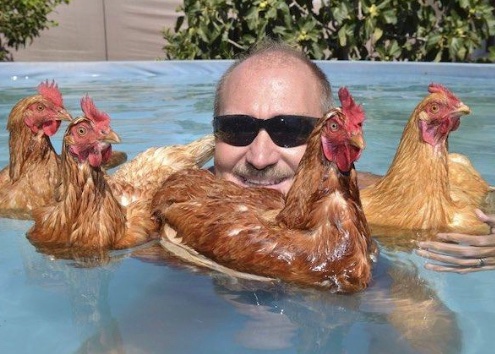 nocontext_paul's tweet photo. Man with 4 cocks!🧐 https://t.co/2UUNiFRn4O