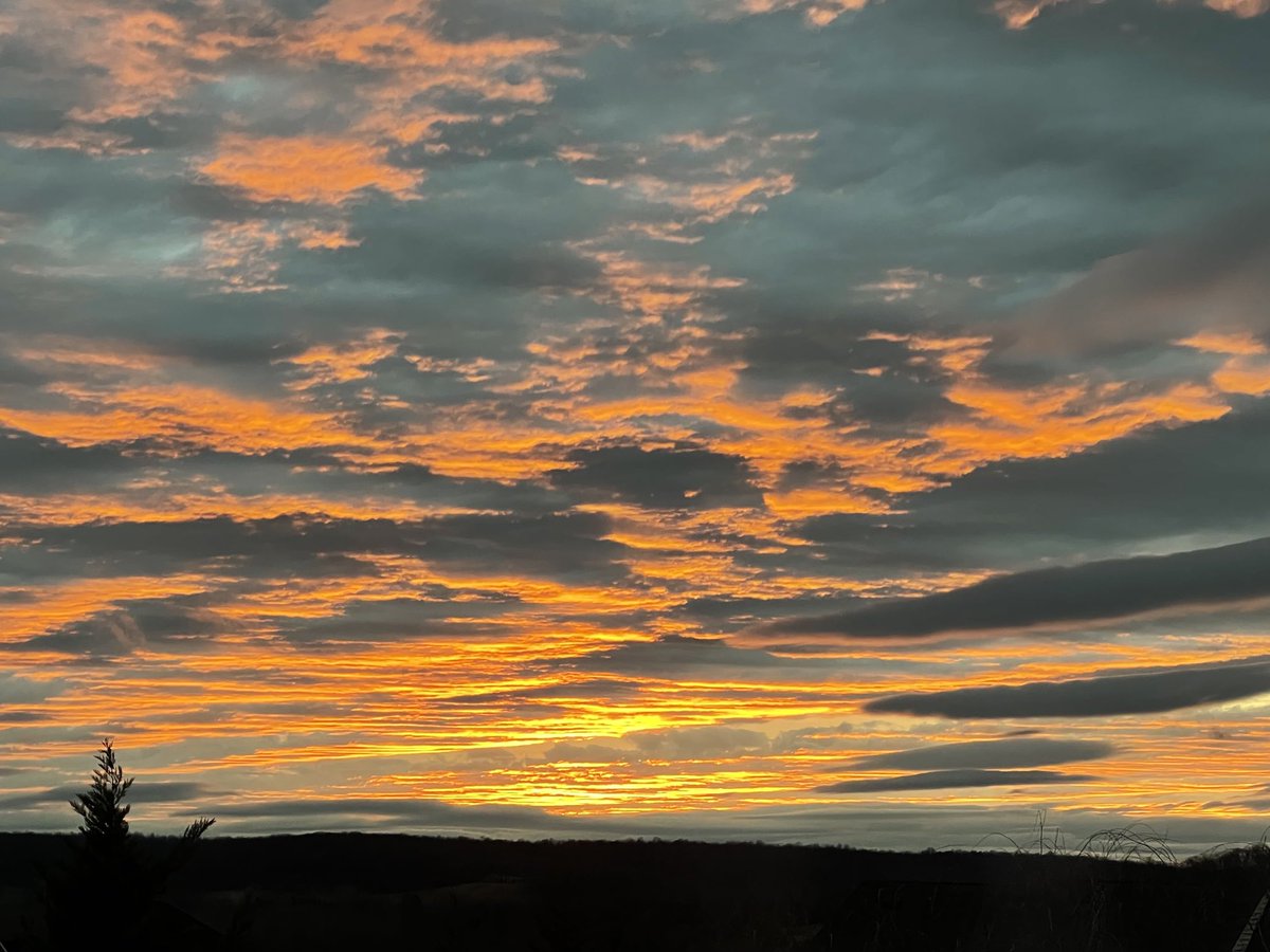 Nancy Decker tweet media